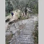 Perivoli